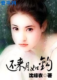还来月如钩小说封面
