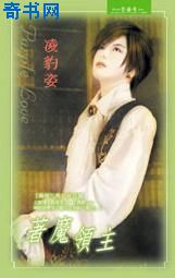 着魔领主小说封面