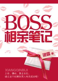 BOSS相亲笔记小说封面