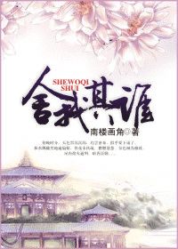 舍我其谁小说封面