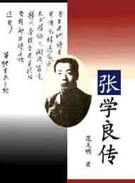 张学良传小说封面