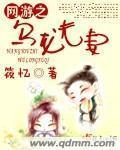网游之乌龙夫妻小说封面