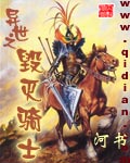 异世之毁灭骑士小说封面