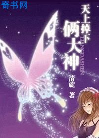 天上掉下俩大神(网游)小说封面