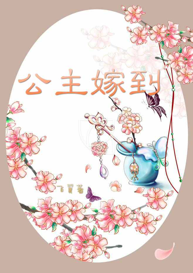 公主嫁到小说封面