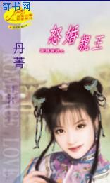 怒婚亲王小说封面