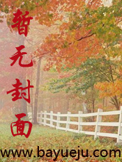 窃心小说封面
