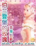 伯兰登堡的玫瑰小说封面