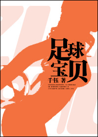 足球宝贝小说封面