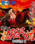 重生之极限风流小说封面