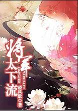 将军太下流小说封面