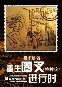 重生圈叉特种兵小说封面