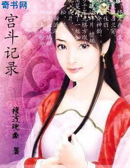 宫斗记录小说封面