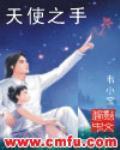 天使之手小说封面