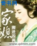 家媳小说封面