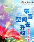 带着空间去升级小说封面