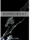 我觉得我们要分手了小说封面