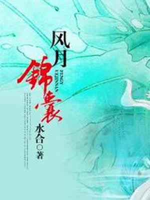 风月锦囊小说封面