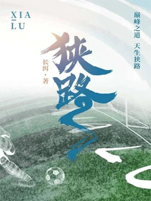 狭路小说封面