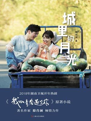 城里的月光（我的青春遇见你）小说封面