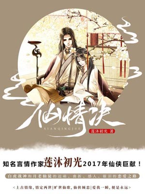 仙情决(仙情诀)小说封面