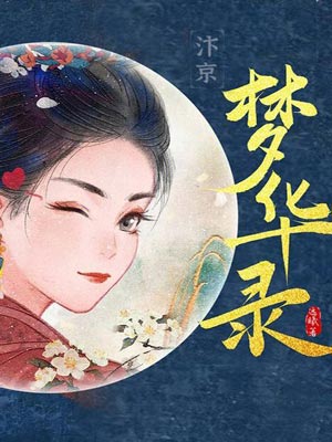 梦华录小说封面