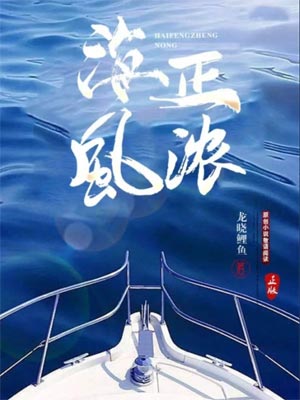 海风正浓小说封面