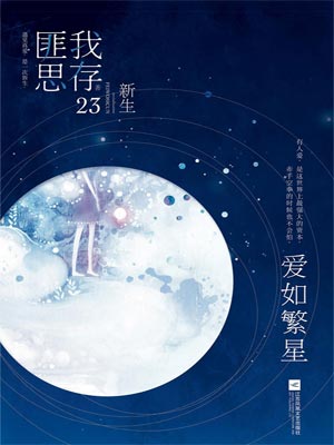 爱如繁星小说封面