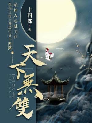 念无双(天下无双)小说封面