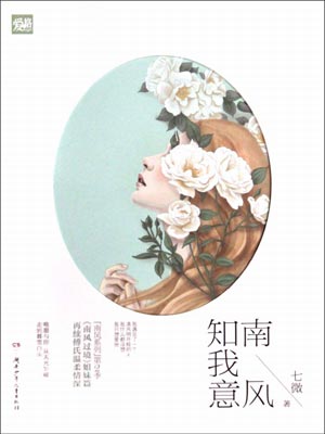 南风知我意小说封面