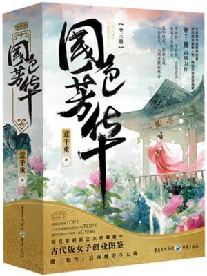国色芳华小说封面