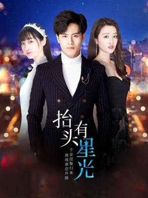抬头有星光（假面娇妻）小说封面