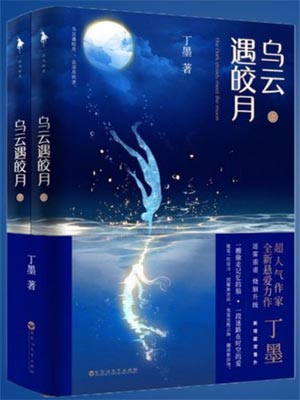 乌云遇皎月小说封面