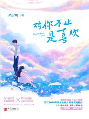 对你不止是喜欢小说封面