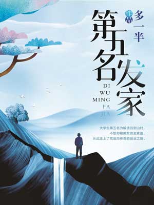 第五名发家小说封面