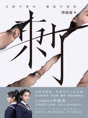 刺小说封面
