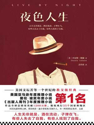 夜色人生小说封面