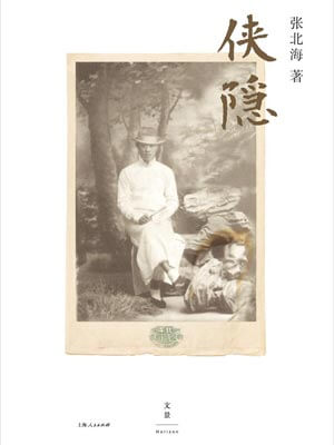 侠隐（邪不压正）小说封面