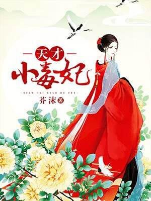 天才小毒妃（芸汐传）小说封面