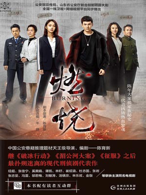 燃烧小说封面