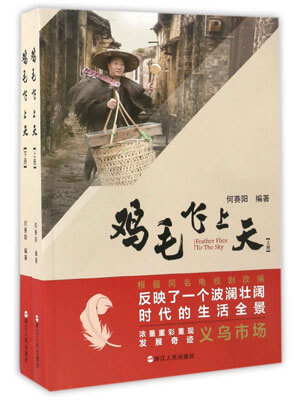 鸡毛飞上天小说封面