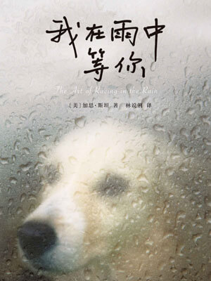 我在雨中等你小说封面