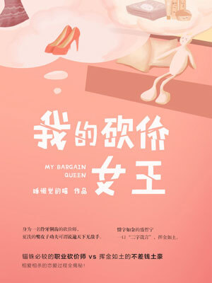 我的砍价女王小说封面