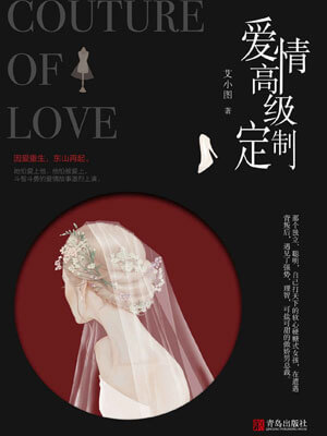 爱情高级定制（幸福，触手可及）小说封面
