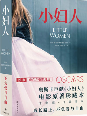 小妇人小说封面