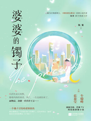 婆婆的镯子小说封面