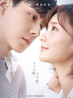 密室困游鱼（我的时代，你的时代）小说封面