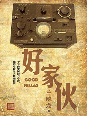 好家伙小说封面