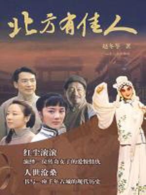 北方有佳人小说封面