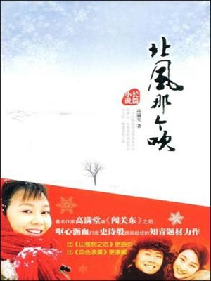 北风那个吹小说封面